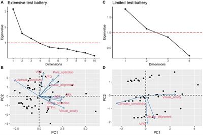 Childhood cerebral visual impairment subtype classification based on an extensive versus a limited test battery